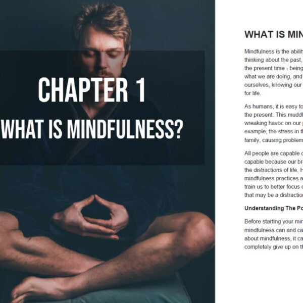 a beginners guide to mindfulness chapter 1