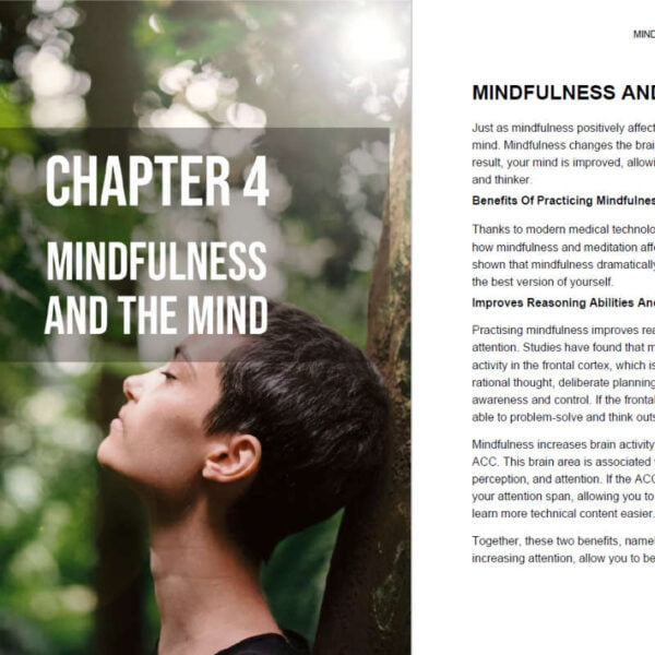 a beginners guide to mindfulness chapter 4