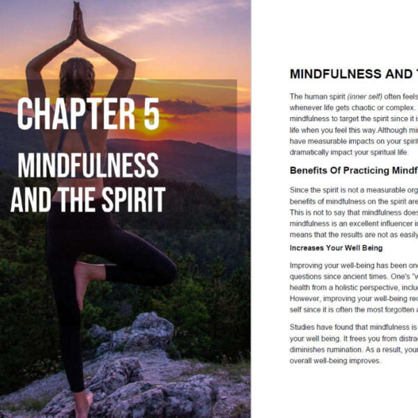 a beginners guide to mindfulness chapter 5